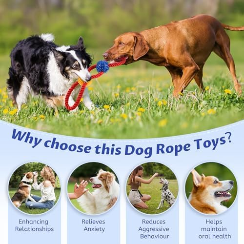 Aitmexcn Dog Rope Toy, Tough Tug of War Toy for Medium and Large Dogs