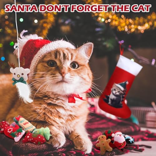Syhood 18 Pcs Christmas Cat Stocking Toys Catnip Toys Set, Include Kitten Interactive Wand Toy Cat Chew Toy Teaser Wand Teething Mouse Santa Fish Ball Feather Toy Christmas Hanging Stocking for Pet