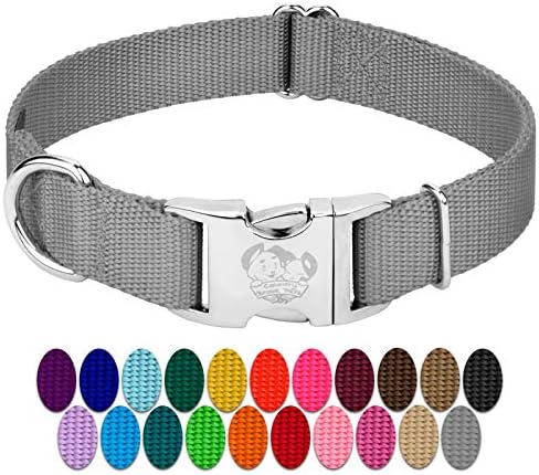 Country Brook Petz - Premium Nylon Dog Collar with Metal Buckle for Small Medium Large Breeds - 30+ Colors (Medium, 3/4 Inch, Silver)