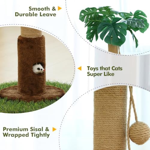 Woochpet Cat Scratching Post for Indoor Cats and Kitten - 35.43" Tall Cat Scratching Post with Sisal Rope,Palm Tree Cat Scratch Post with Hanging Ball
