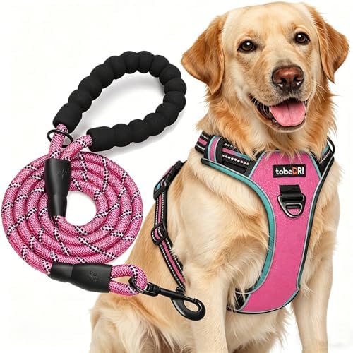 tobeDRI No Pull Dog Harness Adjustable Reflective Oxford Easy Control Medium Large Dog Harness with A Free Heavy Duty 5ft Dog Leash, Pink/Turquoise, L