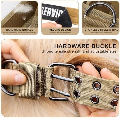 Tactical Dog Collar with Name Patches, Olive Green: XL