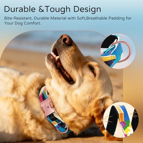 Reflective Dog Collar for Small Dogs, Artistic Design Detroit-S