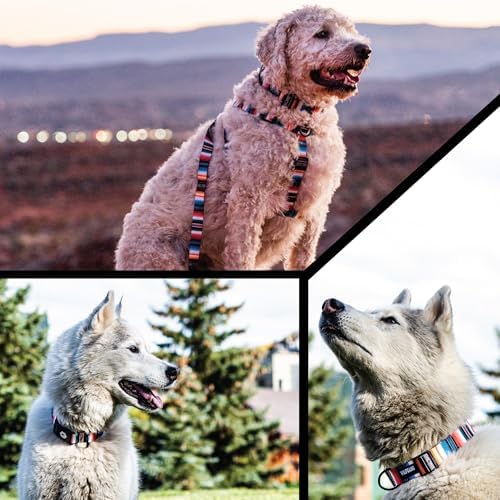 Wolfgang Heavy Duty, Adjustable Dog Collar with Quick Release Nylon Buckle for Walking & Training, LostArt Print, Large