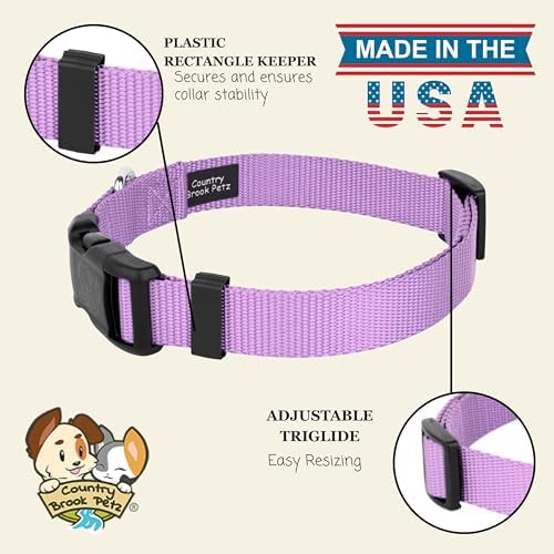 Country Brook Petz - Everyday Nylon Dog Collar for Large, Medium, and Small Dogs and Puppies - for Everyday Use in 30+ Colors (Medium, 3/4 Inch Wide, Lavender)
