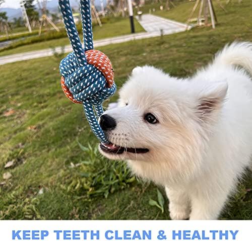 Dog Toys Small Dog Chew Toys Dog Teething Toys Squeaky Toys Chihuahua Pomeranian Corgi and PoodlesToys 6 PCS