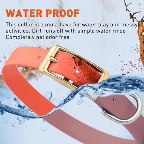 Viper Biothane Heavy Duty Waterproof Dog Collar Strong Coated Nylon Webbing w/Solid Brass Hardware Odor-Proof Easy to Clean High Performance Fits Small Medium or Large Dogs, Coral
