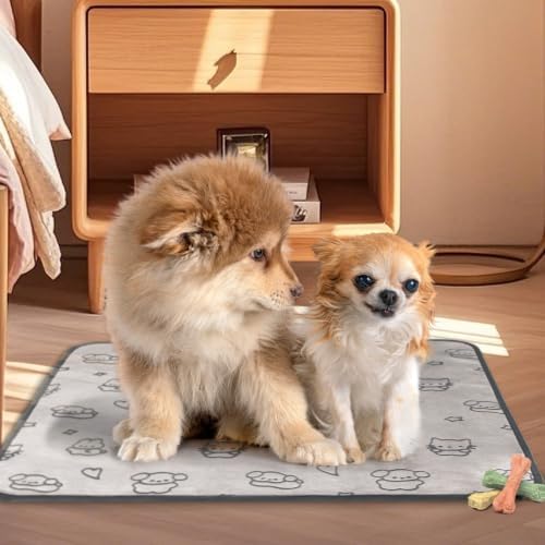 Qeils Reusable Puppy Pads, Washable Pee Pads, Leakproof 36"x 36" 2 Pack
