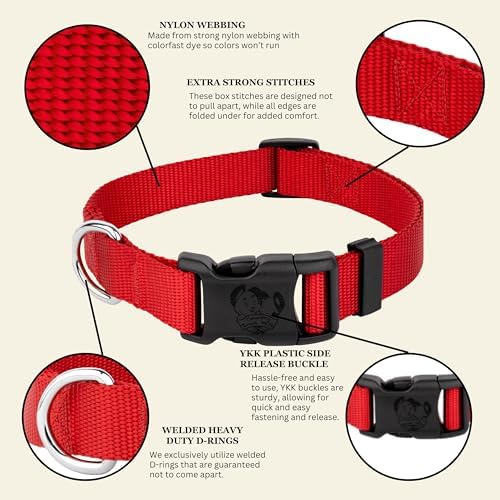 Country Brook Petz - Everyday Nylon Dog Collar for Large, Medium, and Small Dogs and Puppies - for Everyday Use in 30+ Colors (Extra Large, 1 Inch Wide, Bright Red)