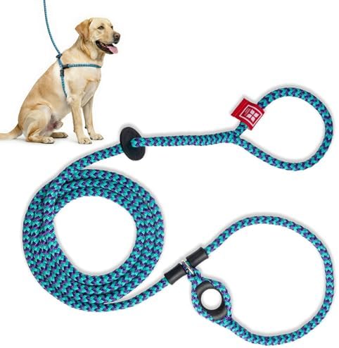 Harness Lead No Pull Dog Harness and Leash Set, Anti Pull Dog Harness, One-Piece Cushioned Rope Safely Prevents Escaping and Pulling (Medium/Large, Purple/Turquoise)