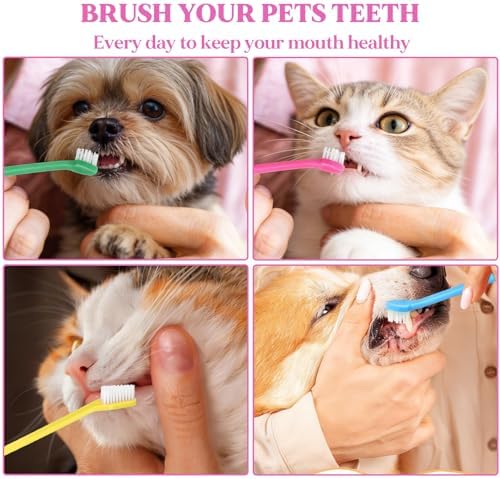 200Pcs Dog Toothbrushes, Dual Headed Dog Tooth Brush Bulk, Long Handle Plastic Pet Toothbrush for Large Small Dogs Cats Puppy Teeth Cleaning Dental Care Supplies 8 Colors