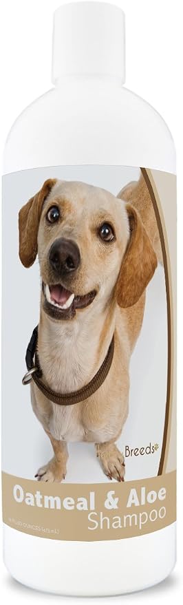 Healthy Breeds Chiweenie Oatmeal Shampoo with Aloe 16 oz