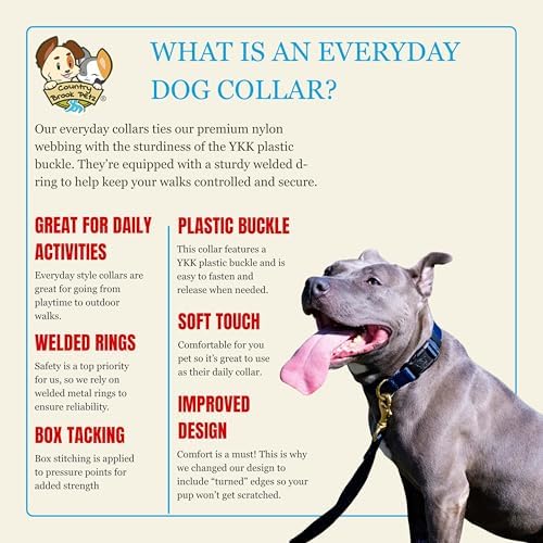 Country Brook Petz - Everyday Nylon Dog Collar for Large, Medium, and Small Dogs and Puppies - for Everyday Use in 30+ Colors (Large, 1 Inch Wide, Navy Blue)