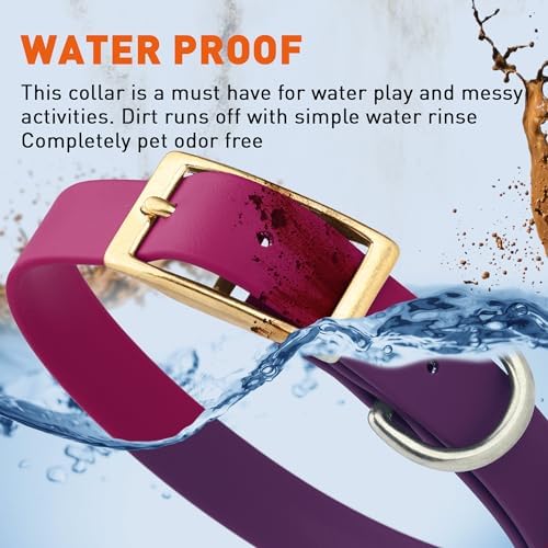 Viper Biothane Heavy Duty Waterproof Dog Collar Strong Coated Nylon Webbing w/Solid Brass Hardware Odor-Proof Easy to Clean High Performance Fits Small Medium or Large Dogs, Magenta Pink