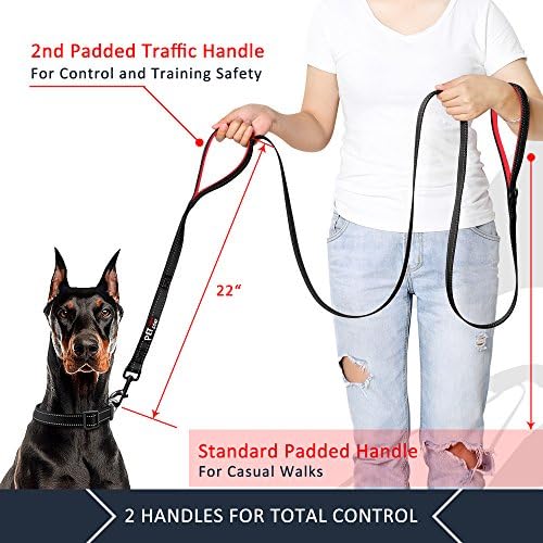 Plutus Pet Double Handle Dog Leash, 4 FT Long, for Medium Large Dogs