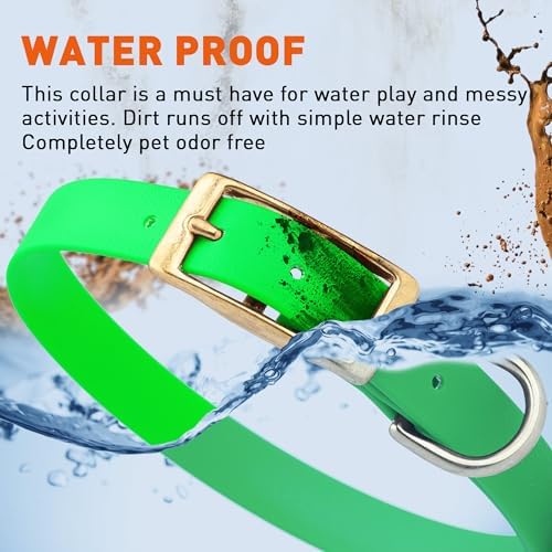 Viper Biothane Heavy Duty Waterproof Dog Collar Strong Coated Nylon Webbing w/Solid Brass Hardware Odor-Proof Easy to Clean High Performance Fits Small Medium or Large Dogs, Tropical Green