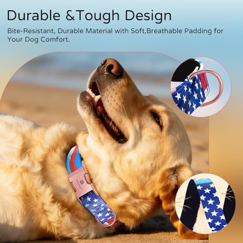 Reflective Dog Collar for Medium Dogs, 4th of July Dog Collar-M