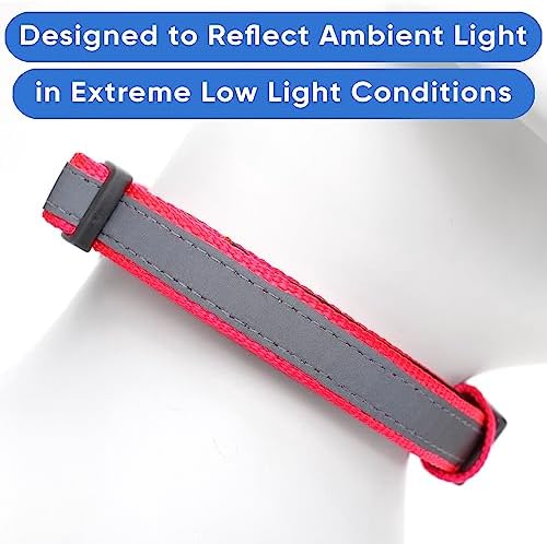 Pawtitas Personalized Reflective Padded Dog Collar with Name Phone Number - Adjustable Customized Pink Large Dog Collar