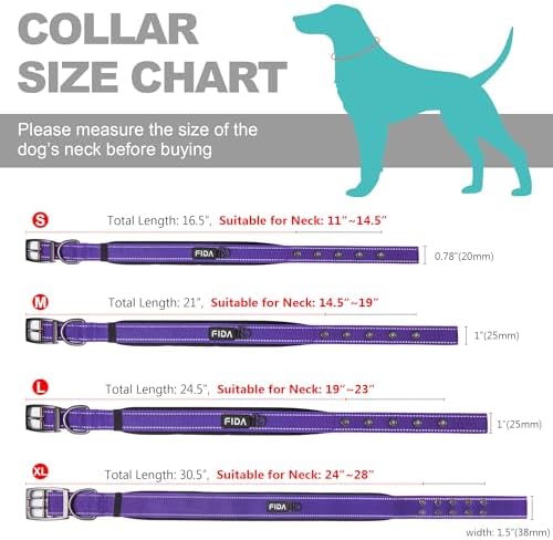 Fida Heavy Duty Dog Collar for Large Dogs with Metal Belt Buckle, Purple
