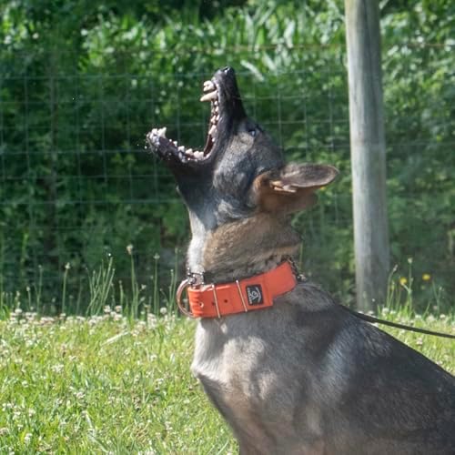 SparkDog 2” Working Dog Collar – Heavy Duty