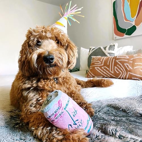 Haute Diggity Dog LickCroix Barkling Water Plush Dog Toy, Drink Parody Toy