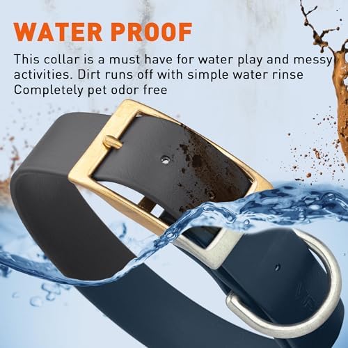 Viper Biothane Heavy Duty Waterproof Dog Collar Strong Coated Nylon Webbing w/Solid Brass Hardware Odor-Proof Easy to Clean High Performance Fits Small Medium or Large Dogs, Black