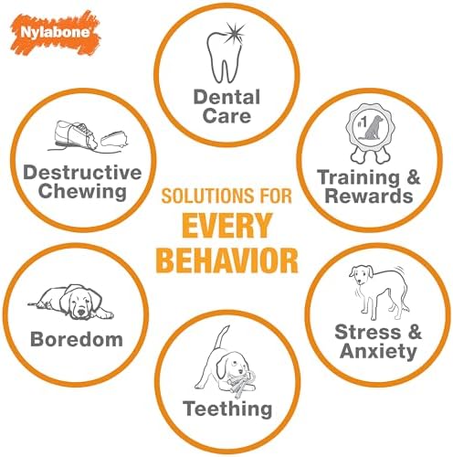 Nylabone Strong Chew Rubber Stuffable Cone Treat Toy, Bacon Flavor, Large