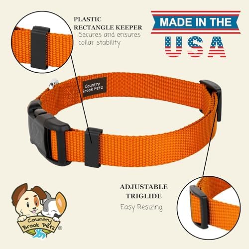 Country Brook Petz - Everyday Nylon Dog Collar for Large, Medium, and Small Dogs and Puppies - for Everyday Use in 30+ Colors (2XS, 3/8 Inch Wide, Orange)