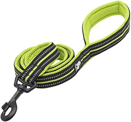 Creation Core Reflective Dog Leash Durable Padded Pet Leash Strap for Puppy Pet Leash Rope, Green 6.5Ft Long 1" Wide