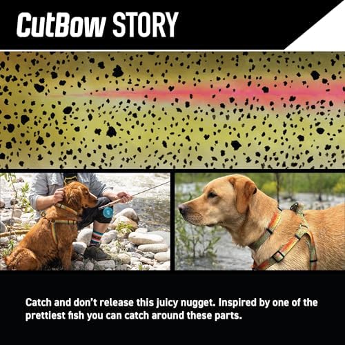 Wolfgang Venture Dog Collar Cutbow S