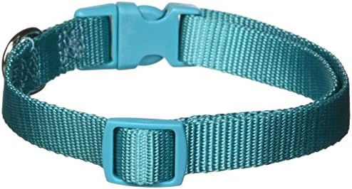 Zack & Zoey ⅝" Wide Nylon Dog Collar, Fits Necks 14" to 20", Bluebird