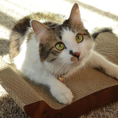 Necoichi Cardboard Cat Scratcher Bed for Indoor Cats - Cat Scratching Board, Horizontal Cat Scratch Pad Lounger with Reversible Usability and Extra Comfort for Lounge, Curved (17" Medium, Dark Cherry)