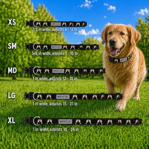 THE WORTHY DOG Summer Print, Adjustable Dog Collar,Medium Dogs, Celebration