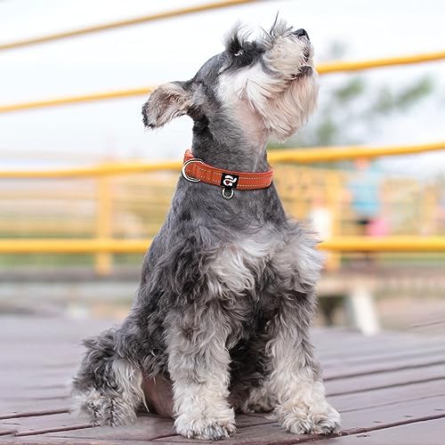 azuza Reflective Dog Collar, Neoprene Padded Small Dog Collar, Rust Red, S