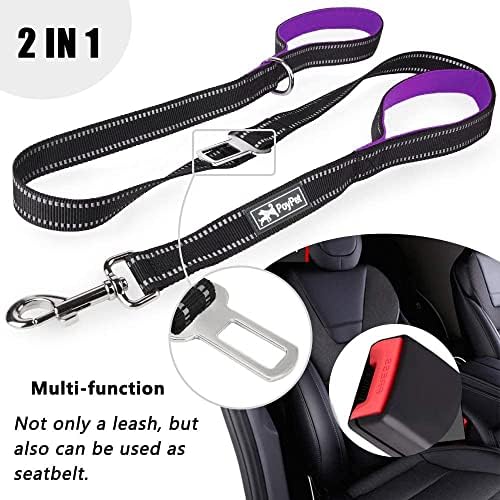 PoyPet 5 Feet Dog Leash with 2 Cushioned Handles (Purple)