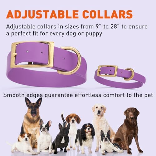 Viper Biothane Heavy Duty Waterproof Dog Collar Strong Coated Nylon Webbing w/Solid Brass Hardware Odor-Proof for Easy Care to Clean High Performance Fits Small Medium or Large Dogs, Amethyst Purple