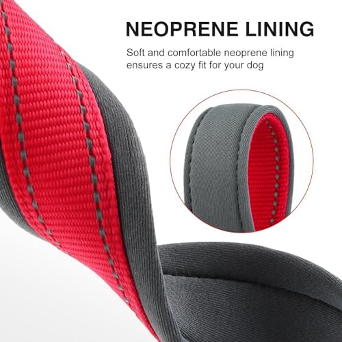 Personalized Nylon Dog Collar with Embroidered Name & Number