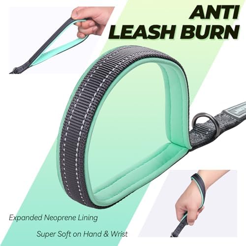 VIVAGLORY Double Handle Dog Leash Twingrip, 6ft x 1/2in, Grey