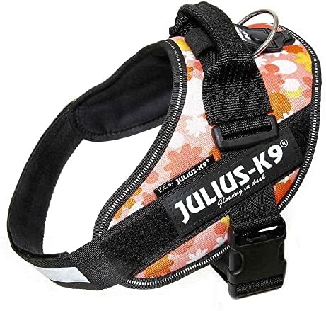 Julius-K9, 16IDC-PNF-2, IDC Powerharness, Dog Harness, Size: 2, Pink with Flowers