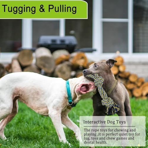 Dog Bungee Tug Toy Hanging from Tree, Outdoor Interactive Tether-Yellow