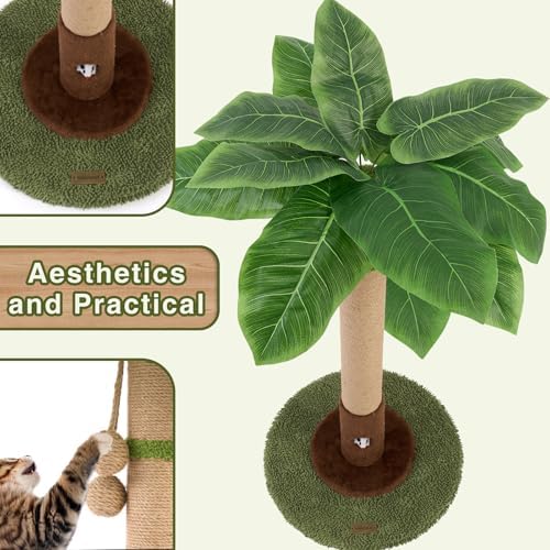 Woochpet Cat Scratching Post for Indoor Cats and Kitten - 35.43" Tall Cat Scratching Post with Sisal Rope,Palm Tree Cat Scratch Post with Hanging Ball (35.4-Green, 35.4in)
