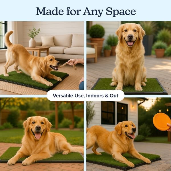 PETMAKER Artificial Grass Puppy Pee Pad for Dogs and Small Pets with Tray - 20x30 inches Washable 3-Layer Reusable Indoor Dog Potty Grass Training Pad, Easy Clean Pet Housebreaking Potty Solution
