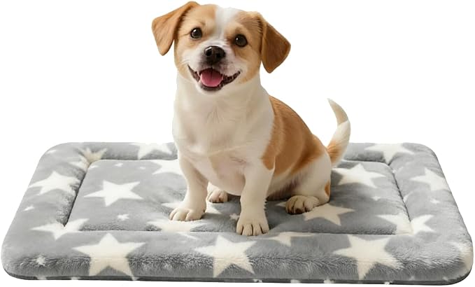 Dog Bed Mat, Reversible Crate Pad & Cute Dog Bed - Machine Washable Kennel Mat with Ultra Soft (Big&Small Stars Gray, 24" L*18" W*1.5" Th)