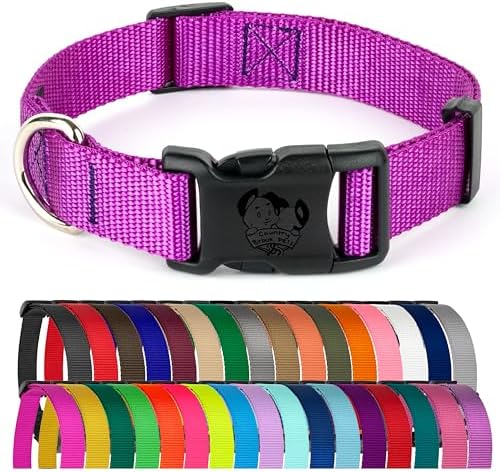 Country Brook Petz - Everyday Nylon Dog Collar for Large, Medium, and Small Dogs and Puppies - for Everyday Use in 30+ Colors (Large, 1 Inch Wide, Bright Purple)