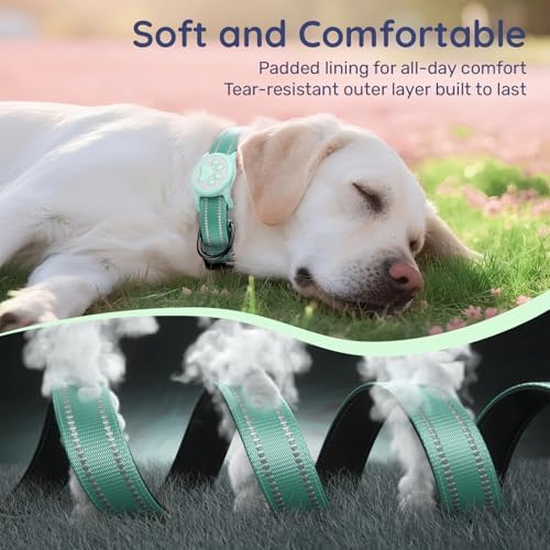 Premium Airtag Dog Collar，with IP68 Waterproof AirTag Holder,Green,S