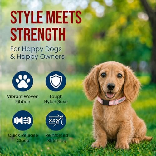 THE WORTHY DOG Summer Print, Adjustable Dog Collar, Small Dogs, Floral