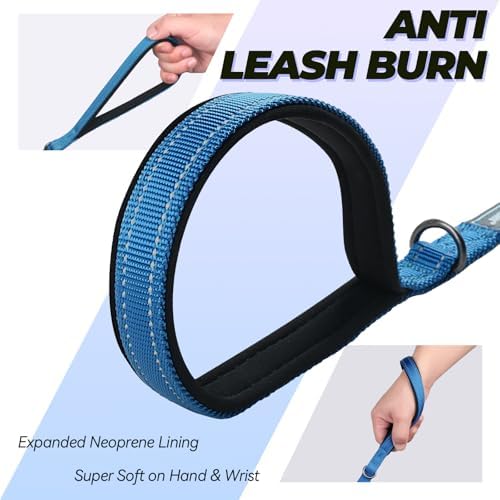 VIVAGLORY Double Handle Dog Leash Twingrip, 6ft x 1/2in, Navy
