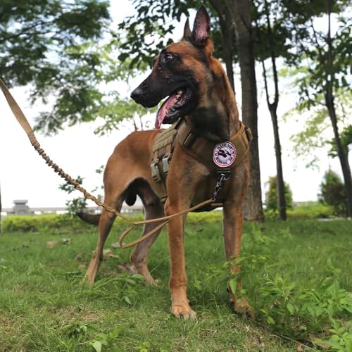 ICEFANG No Pull Tactical Dog Harness for Large Dogs,Adjustable Dog Vest