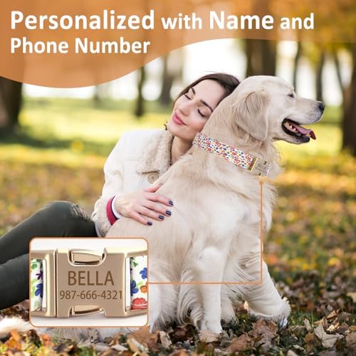 Personalized Dog Collar Custom Engraved Pet Name & Phone Number