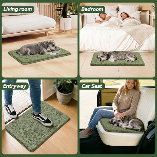 Bcoimo Super Absorbent Dog Door Mat, 30"*20" Anti Slip Mat for Muddy Paws